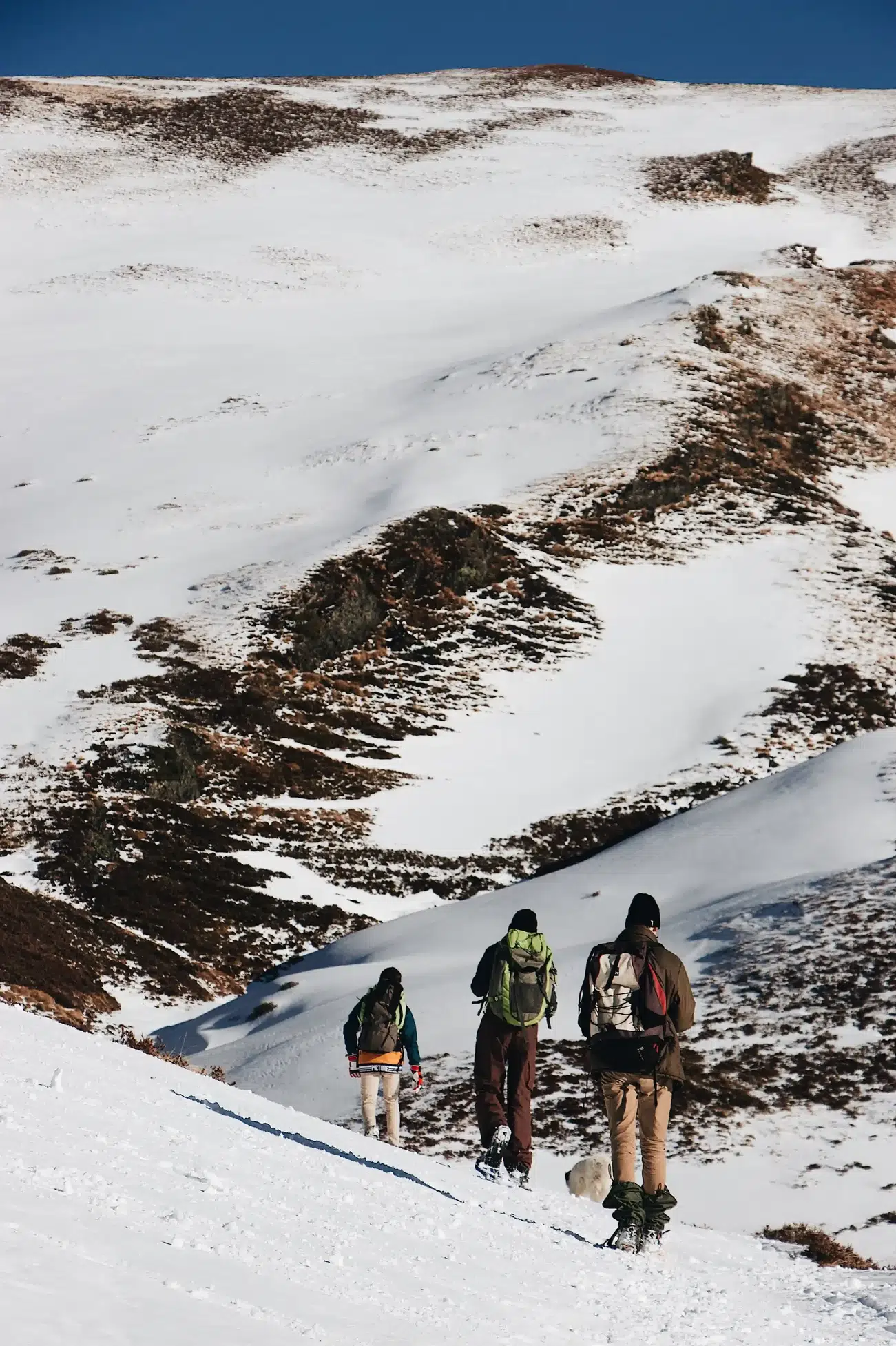 Everest Three pass Trek 20 Days